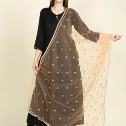 Dupatta Bazaar Sequins Embroidered Net Dupatta-35