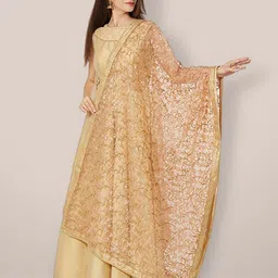 Dupatta Bazaar Embroidered Dupatta with Zardozi-6