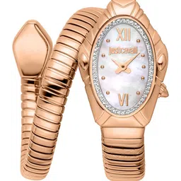 Just Cavalli Women Patterned Dial & Stainless Steel Analogue Watch JC1L357M0045-image-28
