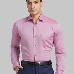 Park Avenue Men Slim Fit Opaque Textured Spread Collar Formal Shirt-picture-34
