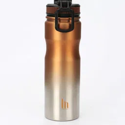 HOOM Copper-Toned & Silver-Toned Solid Hyde Vacuum Insulated Stainless Steel Water Bottle-picture-15
