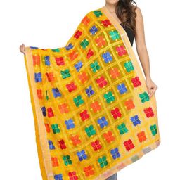 Exotic India Ethnic Motifs Embroidered Chiffon Dupatta-picture-19