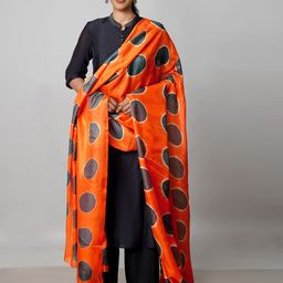 Unnati Silks Geometric Clamp Dyed Dupatta-picture-20