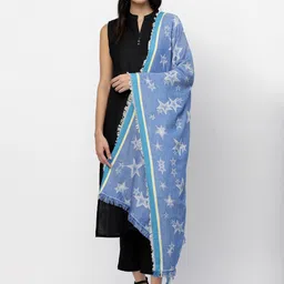 Anekaant Women Blue Geometric Woven Shawl-image-24