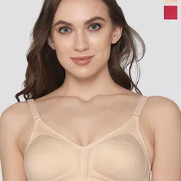 K LINGERIE Pack of 2 Kwid Wirefree Full Coverage Support Plus Size T-Shirt Bra-image-101