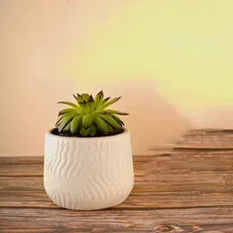 WEAVING HOMES White Textured Ceramic Planters-picture-42