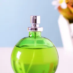 Archies Desi Saundhi Mitti Room Spray 100 ml-image-17