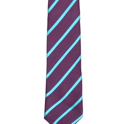 Tossido Purple Striped Broad Tie-image-68