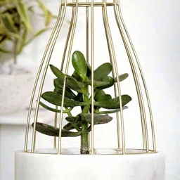 POSH-N-PLUSH White Marble with Gold Metal Web Planter-18