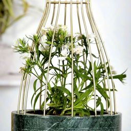 POSH-N-PLUSH Green Metal Web Planter-image-100