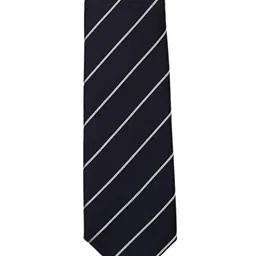 Tossido Men Blue Woven Design Broad Tie-image-59