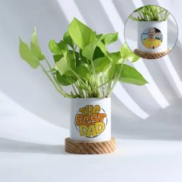 Personalized Father's Day Money Plant With Ceramic Planter-image-50