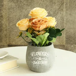 TIED RIBBONS Rose Artificial Flowers and Plants With Pot-0