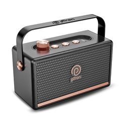 pTron Fusion Pro Retro Signature 20W Bluetooth Speaker with Pristine Sound, 8 Hours Playtime, Dual Drivers, Playback via BT5.3/USB/TF Card, Easy Controls, Portable Speaker & Type C Charging (Black) image 1