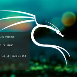 tekymeky Kali Linux OS Ver 2023.1 Everything Live + Installer 64 Bit Penetration Testing Operating System 32 Gb USB image 4