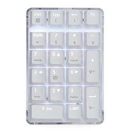 Mechanical Numeric Keypad GATERON Red Switch Wired Gaming Keypad Crystal Case White Backlit 21 Keys Mini Numpad Portable Keypad Extended Layout White Magicforce by Qisan image 1