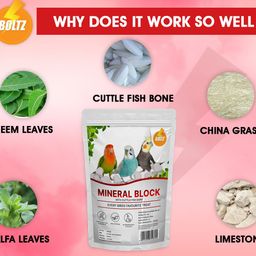 BOLTZ All Life Stages Natural Mineral Block with Cuttlefish Bone Chunks for Birds(250 gm) image 3