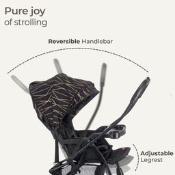 Luvlap Sunshine Plus Stroller/Pram with Reversible Handlebar, 5 Point Harness, 3 Level Recline Adjustment, Compact and Easy Fold, for Newborn Baby/Kids, 0-3 Years (Black) image 2