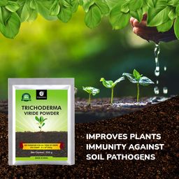 OrganicDews Trichoderma Viride Powder 250 g (2 x 10^8 CFU per Gram) Bio Fungicide For Plants Controls Root Rot/Stem Rot - 250 g image 5