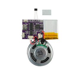 jrgkjcp Voice Module, Magnet Sensor Control Activated MP3 Music Sound Chips, 16MB Sound Module for Crafts, Christmas, New Year Greeting Cards & Box with Speaker Lithium Battery Powered and USB Cable. image 1