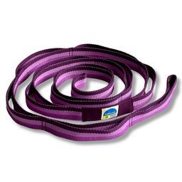 california wellness products Stretching Strap with Loops 12 Multi Loop Non Elastic Stretch Strap, Physical Therapy Equipment, Yoga Strap Stretch Bands for Exercise and Flexibility, Leg and Calf Stretcher Belt (Purple) image 1