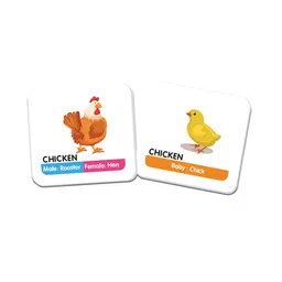 Funskool Animal Family Memory Card Game For 3+ Years image 2