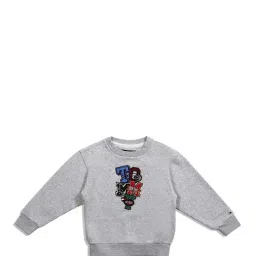 Tommy Hilfiger Kids Grey Applique Sweatshirt-picture-27