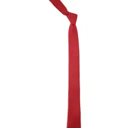 Van Heusen Red Printed Formal Tie-picture-20
