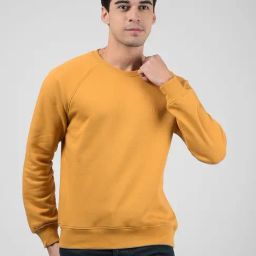 Numero Uno Ochre Regular Fit Printed Sweatshirt-picture-4