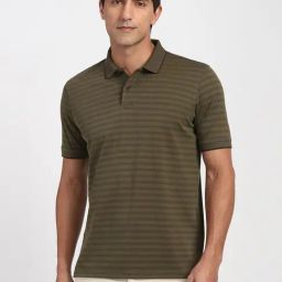 Peter England Green Regular Fit Striped Polo T-Shirt-image-38
