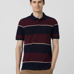 Peter England Maroon Cotton Regular Fit Striped Polo T-Shirt-image-19