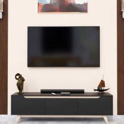 SPYDER CRAFT D3 Engineered Wood TV Entertainment Unit (Black & Oak)-28