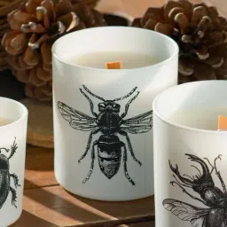 Home4U Vila Hermanos Insect Calabrone White Wax Jar Candle-image-36