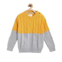 Cherry Crumble By Nitt Hyman Kids Mustard & Grey Printed Sweater-image-101