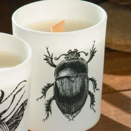 Home4U Vila Hermanos Insect Scarabeus Sacer White Wax Jar Candle-image-30
