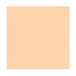 PAC Spotlight Liquid Foundation Oxford Stone - 40 ml image 2