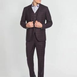 Arrow Purple Regular Fit Checks Three Piece Suits-image-45