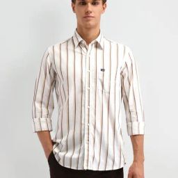 Arrow Sport Brown Cotton Slim Fit Striped Shirt-image-71