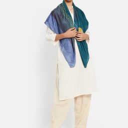 Fabindia Teal Blue Printed Stole-image-27