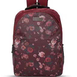Caprese Women Timber Floral Printed Backpack-19