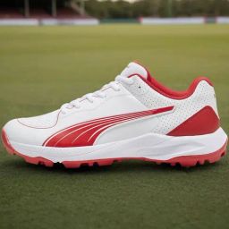 PUMA 24 FH Rubber Unisex Cricket Shoes-45