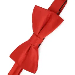 Louis Philippe Red Solid Bow Tie-picture-13