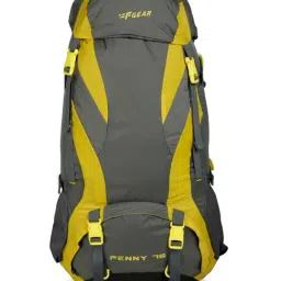 F Gear Penny 75 Ltrs Yellow & Grey Color Block Large Backpack-1