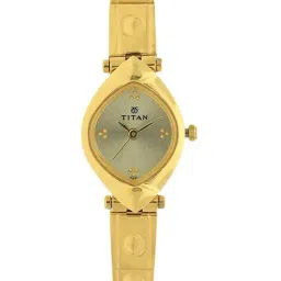 Titan NK2417YM02 Karishma Analog Watch for Women-image-46