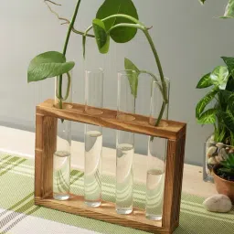 Tayhaa Transparent Wood Vases - Set of 4-15