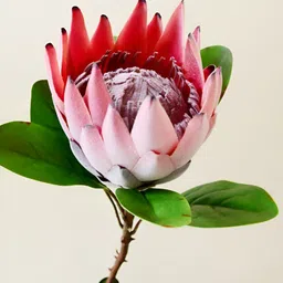 Blooming Floret Pink 1 Pieces Artificial Flower-39