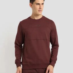 U.S. Polo Assn. Brown Cotton Regular Fit Sweatshirt-picture-10