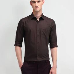 Arrow Brown Cotton Regular Fit Striped Shirt-picture-24