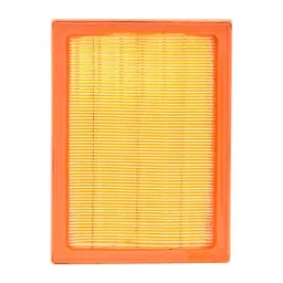 Uno Minda Air Filter For Nissan-Micra/Renault-Pulse (AF4061PU)-image-83