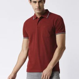 Dragon Hill Maroon Cotton Slim Fit Polo T-Shirt-image-47